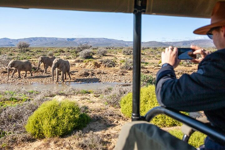 2-Day Inverdoorn Safari - Big Five Cape Town Experience - Photo 1 of 9